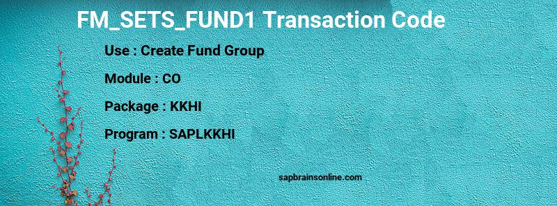 SAP FM_SETS_FUND1 transaction code