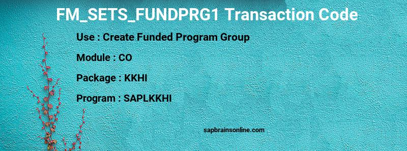 SAP FM_SETS_FUNDPRG1 transaction code