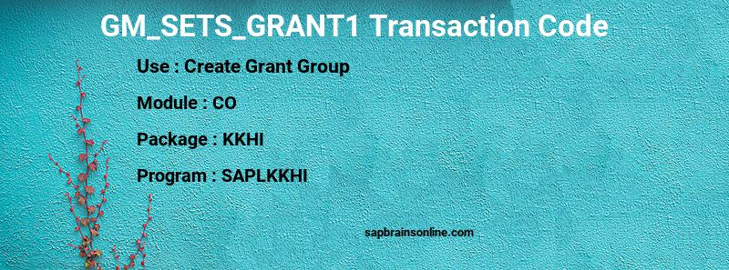 SAP GM_SETS_GRANT1 transaction code