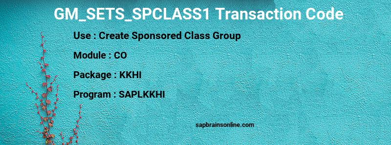 SAP GM_SETS_SPCLASS1 transaction code