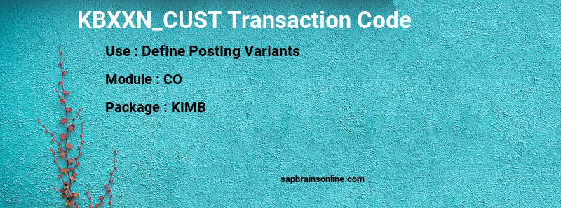 SAP KBXXN_CUST transaction code