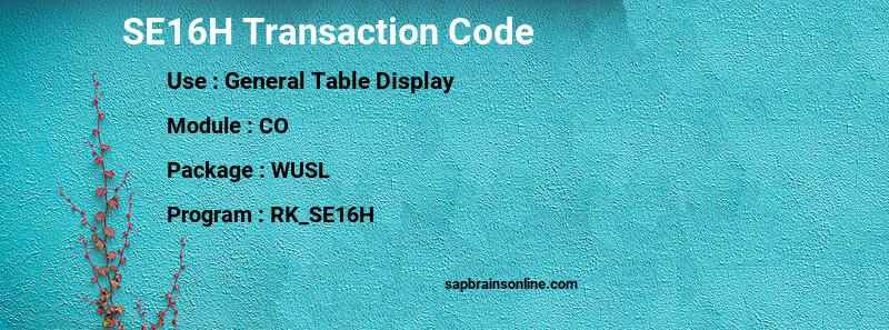 SAP SE16H transaction code