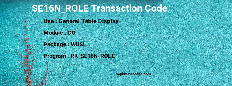 SAP SE16N_ROLE transaction code