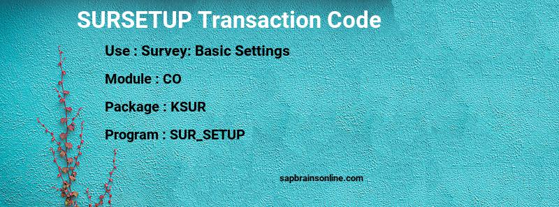 SAP SURSETUP transaction code