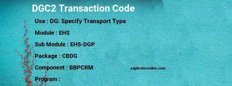 SAP DGC2 transaction code
