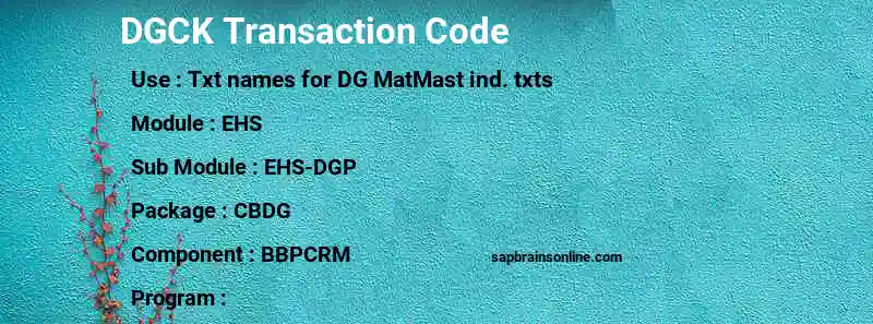 SAP DGCK transaction code