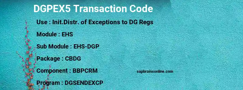 SAP DGPEX5 transaction code