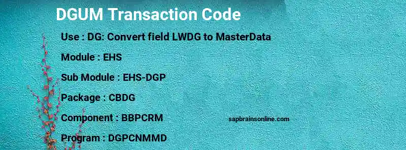 SAP DGUM transaction code