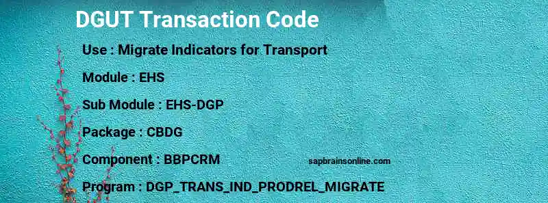 SAP DGUT transaction code