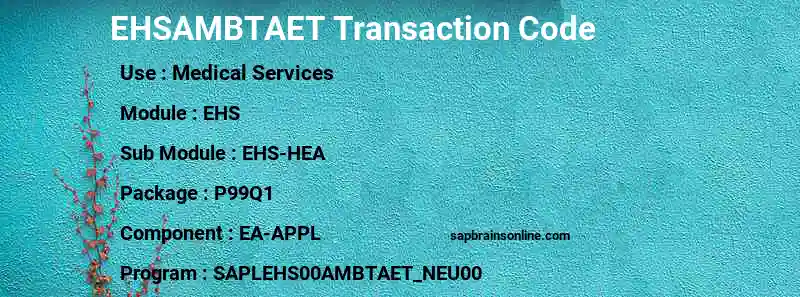 SAP EHSAMBTAET transaction code