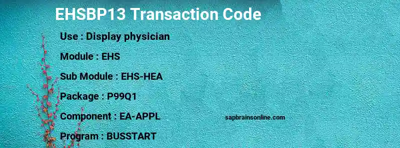 SAP EHSBP13 transaction code