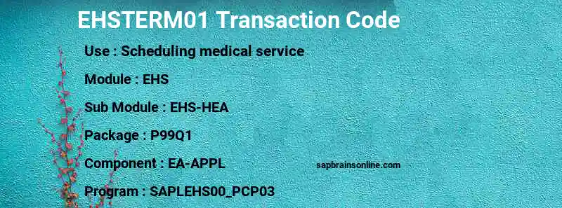 SAP EHSTERM01 transaction code
