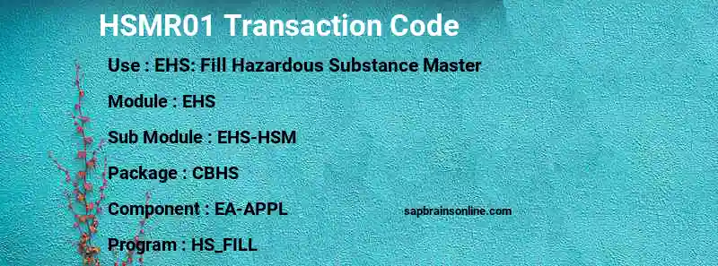 SAP HSMR01 transaction code