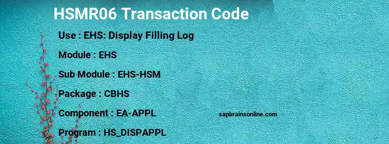 SAP HSMR06 transaction code