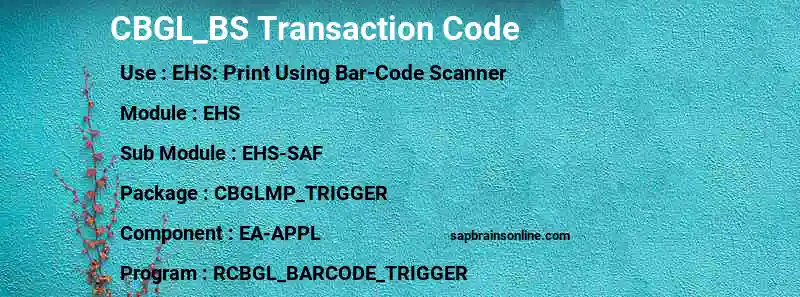 SAP CBGL_BS transaction code