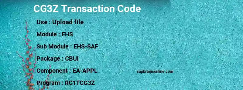 SAP CG3Z transaction code