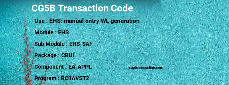 SAP CG5B transaction code