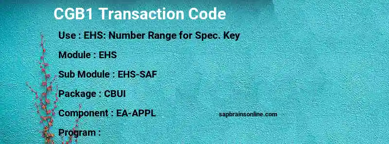 SAP CGB1 transaction code