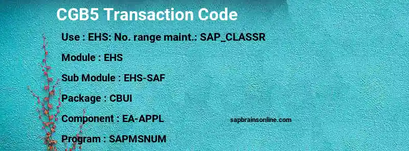SAP CGB5 transaction code
