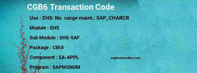 SAP CGB6 transaction code
