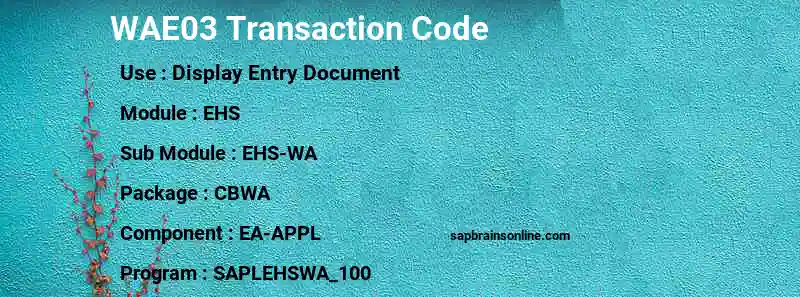 SAP WAE03 transaction code