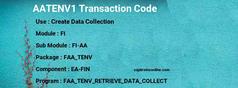 SAP AATENV1 transaction code