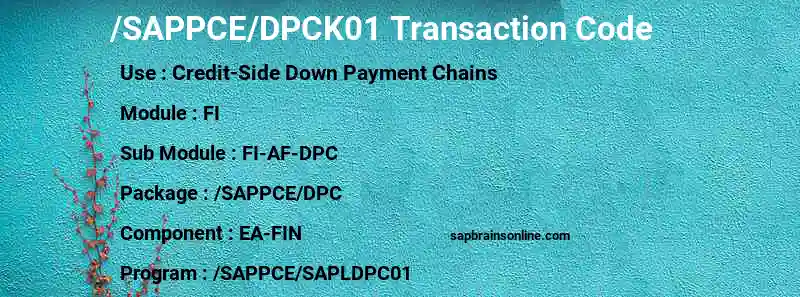 SAP /SAPPCE/DPCK01 transaction code