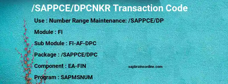 SAP /SAPPCE/DPCNKR transaction code