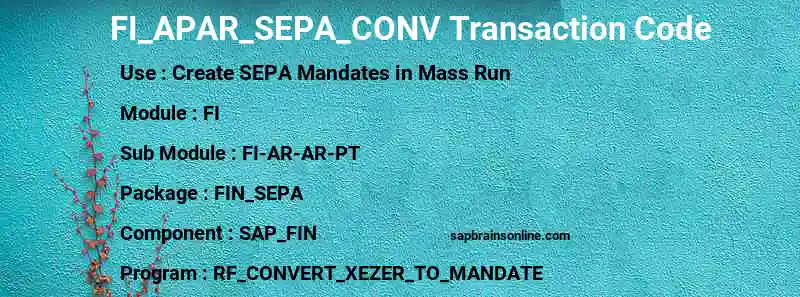 SAP FI_APAR_SEPA_CONV transaction code