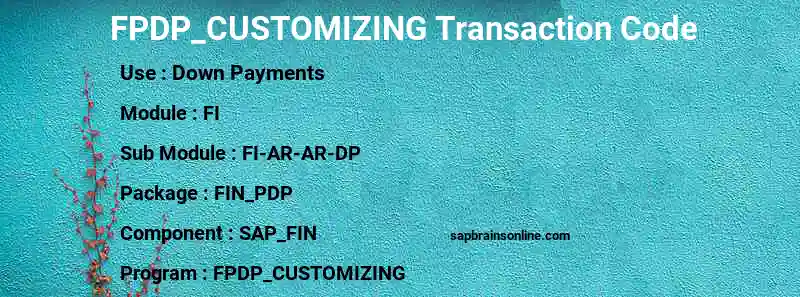 SAP FPDP_CUSTOMIZING transaction code