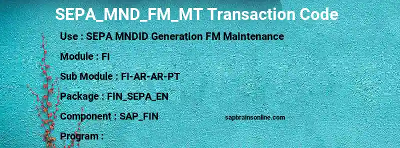 SAP SEPA_MND_FM_MT transaction code