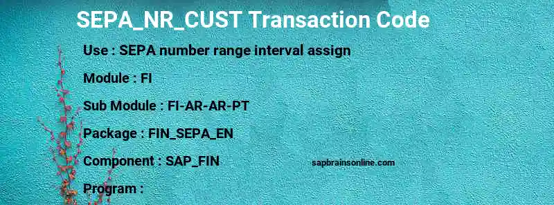 SAP SEPA_NR_CUST transaction code