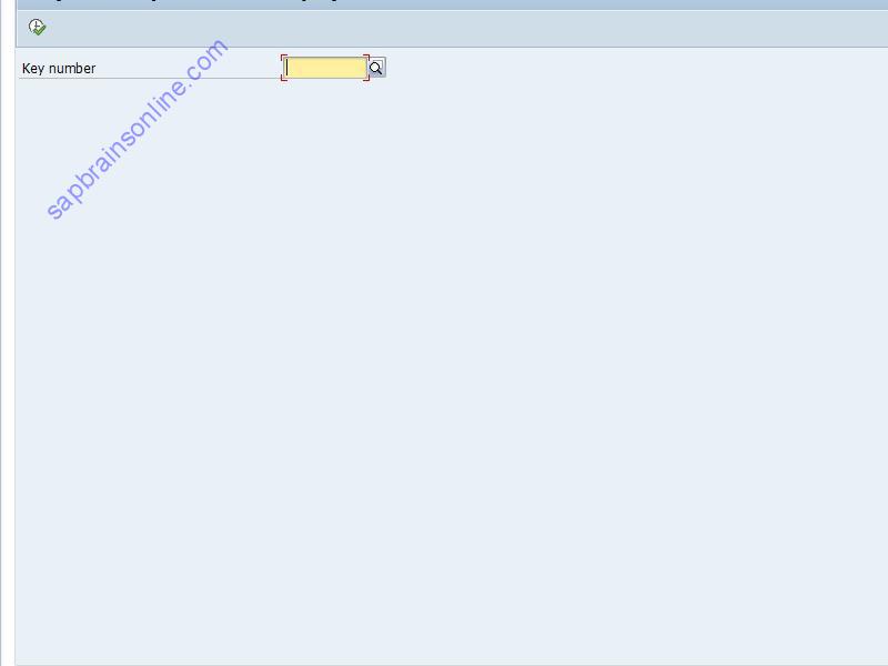 SAP F8BS tcode screenshot