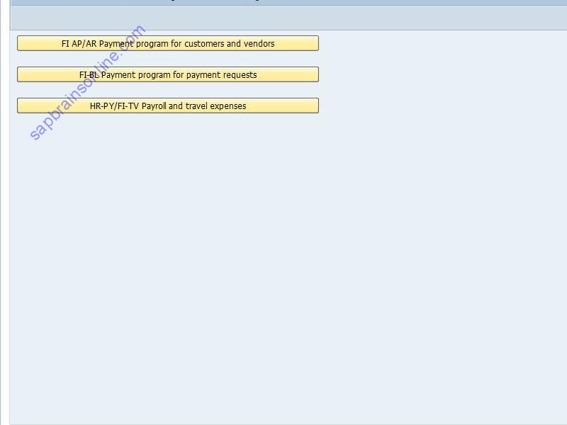 SAP OBPM5 tcode screenshot