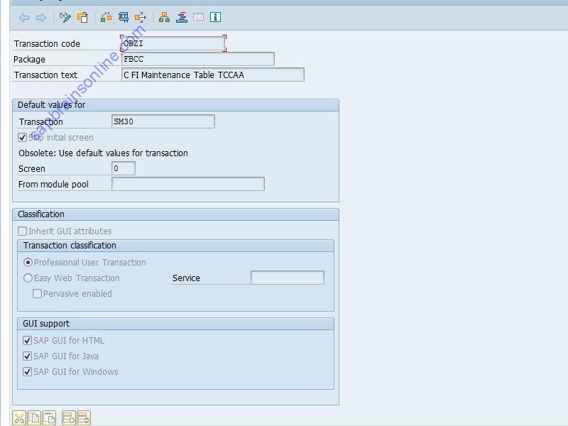 SAP OBZI tcode technical details