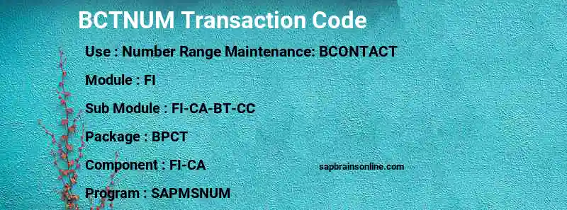 SAP BCTNUM transaction code