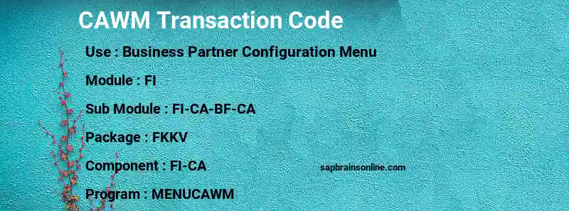SAP CAWM transaction code