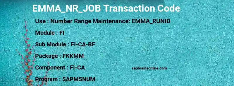 SAP EMMA_NR_JOB transaction code