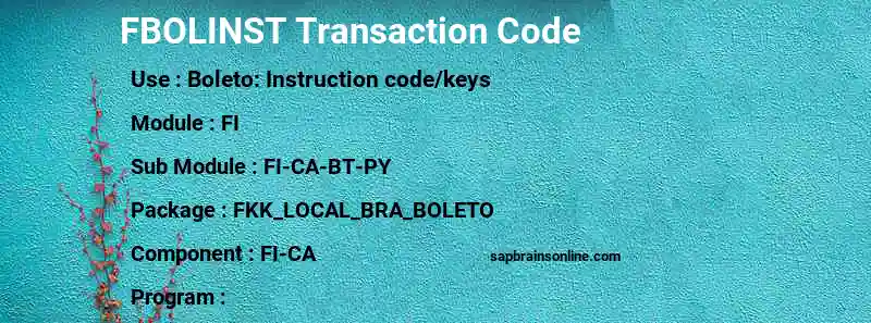 SAP FBOLINST transaction code