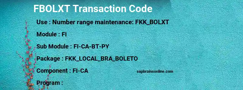 SAP FBOLXT transaction code