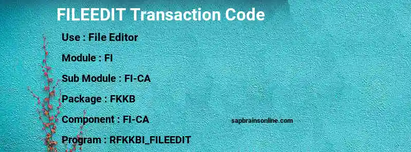 SAP FILEEDIT transaction code