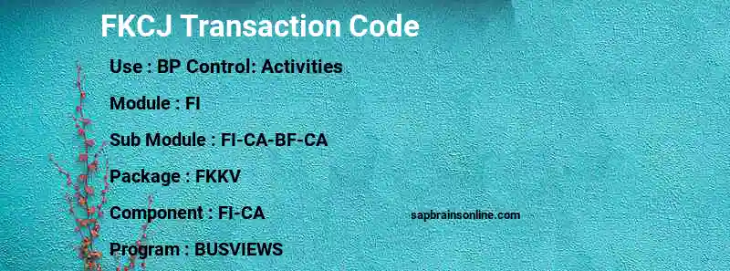 SAP FKCJ transaction code