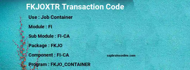SAP FKJOXTR transaction code