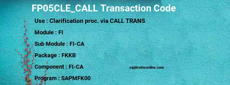 SAP FP05CLE_CALL transaction code