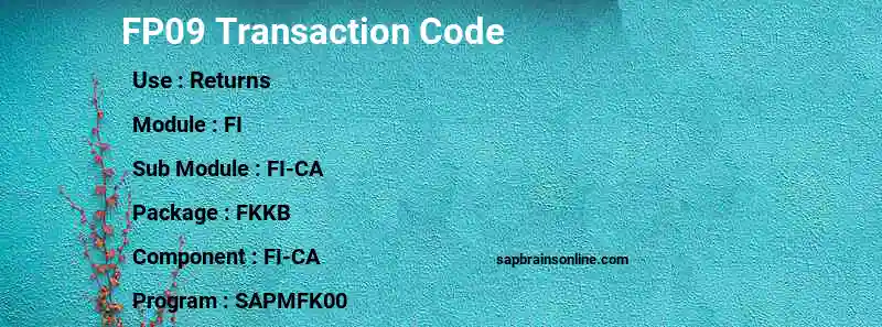 SAP FP09 transaction code