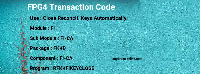 SAP FPG4 transaction code