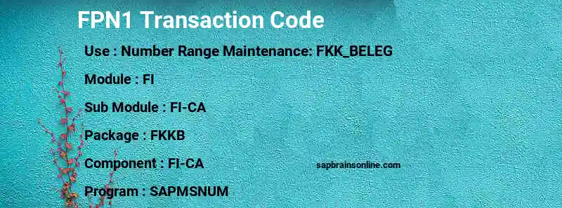 SAP FPN1 transaction code