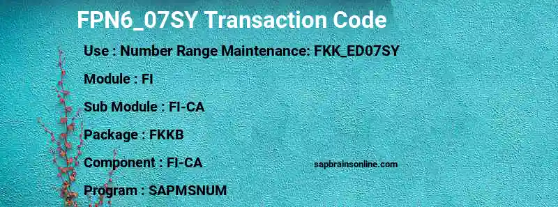 SAP FPN6_07SY transaction code