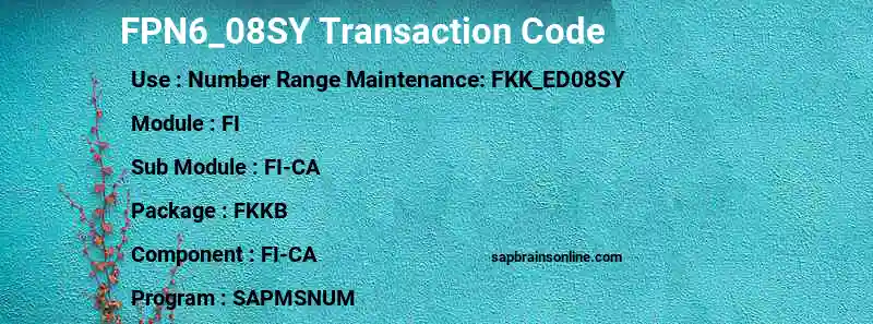 SAP FPN6_08SY transaction code