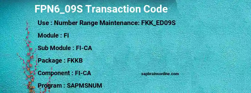 SAP FPN6_09S transaction code